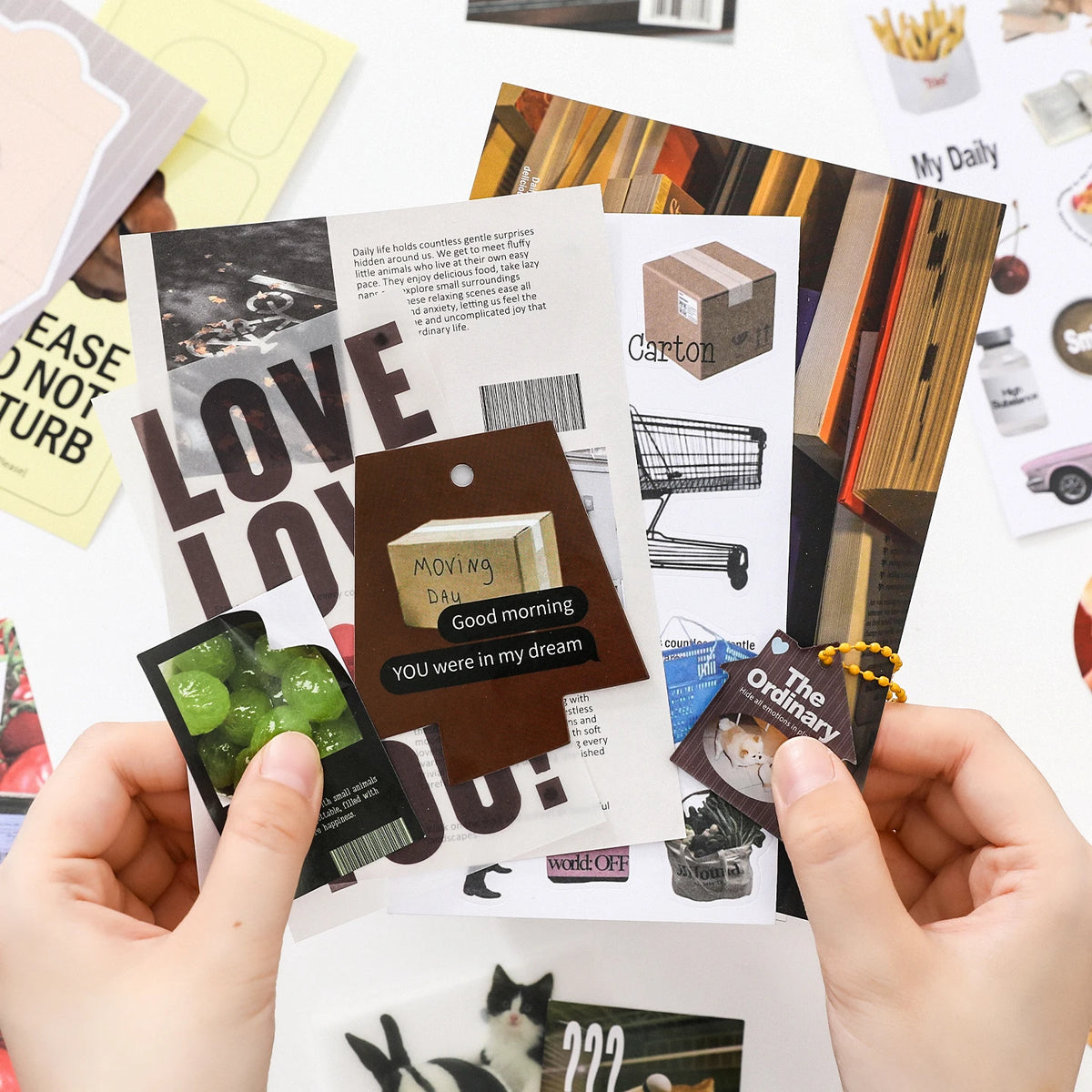 Soft Focus 70-Piece Photo Ephemera Pack - product view 4