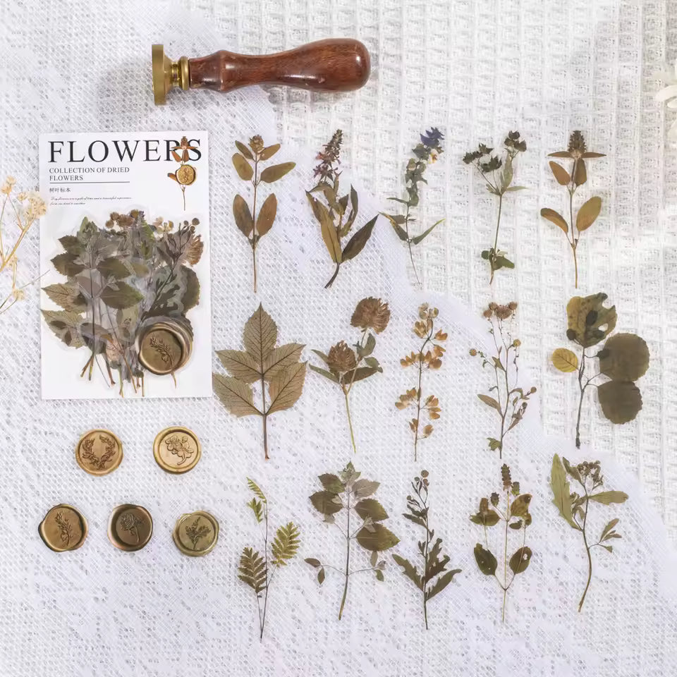 Pressed Florals 40-Piece Specimen Sticker Pack