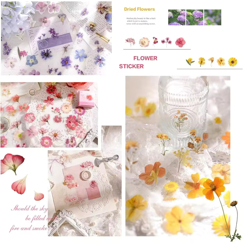 Close-up of dried flower stickers