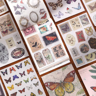 Butterfly theme contents