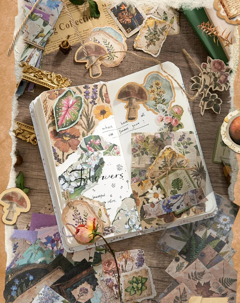 Curiosity Cabinet Paper & Sticker Kit - product view 13