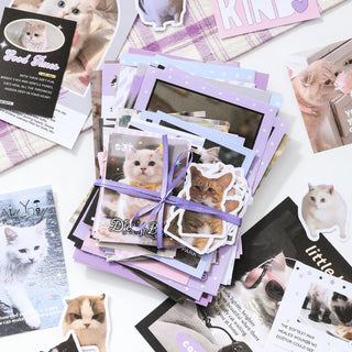 Pastel Daydream 100-Piece Scrapbooking Kit - product view 6