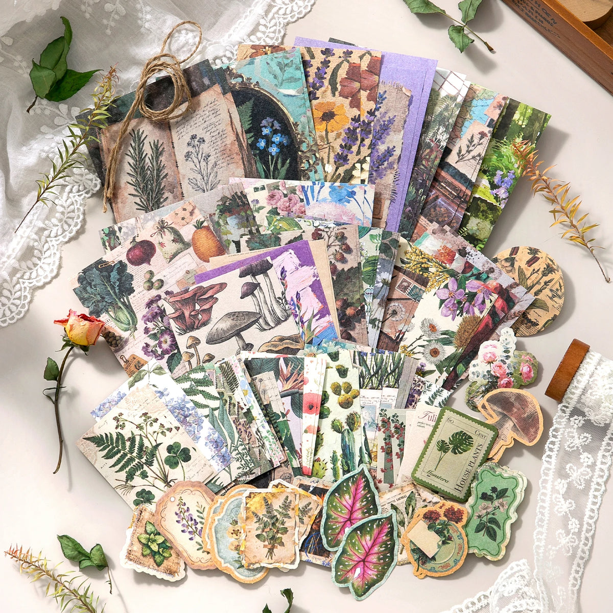 Curiosity Cabinet Paper & Sticker Kit - product view 2