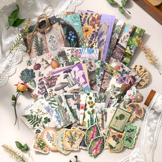 Curiosity Cabinet Paper & Sticker Kit - product view 2