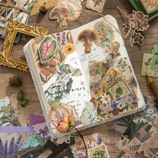 Curiosity Cabinet Paper & Sticker Kit - product view 6