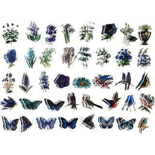 Botanical and nature ephemera kit full contents overview
