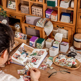 Wild Archive 400-Piece Paper & Sticker Collection