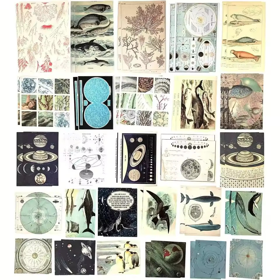 Cosmic ocean ephemera kit seashell and sea life papers