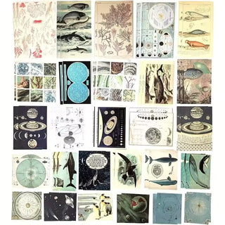 Cosmic ocean ephemera kit seashell and sea life papers