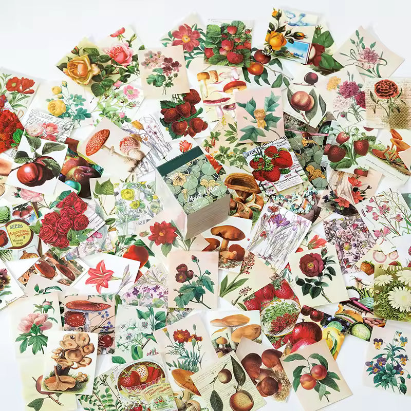 Wild Archive 400-Piece Paper & Sticker Collection