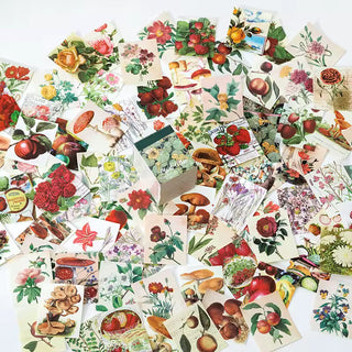 Wild Archive 400-Piece Paper & Sticker Collection
