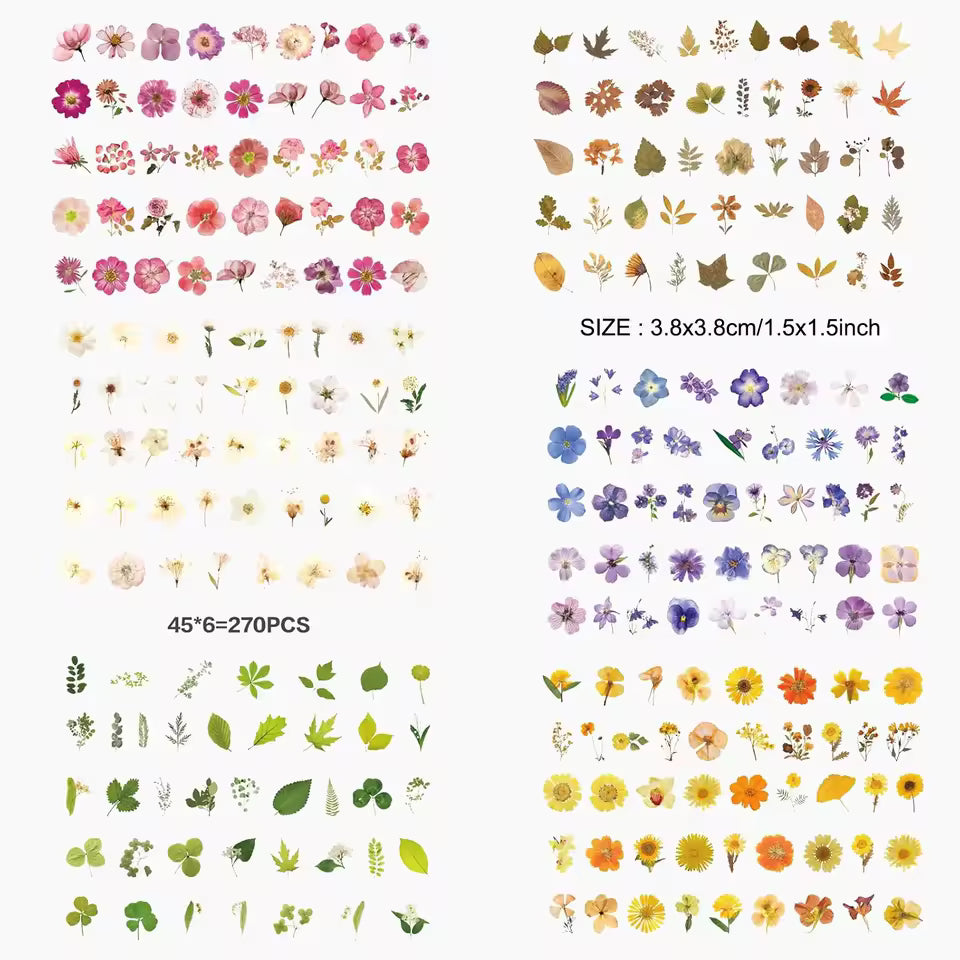 Full set of dried flower sticker sheets