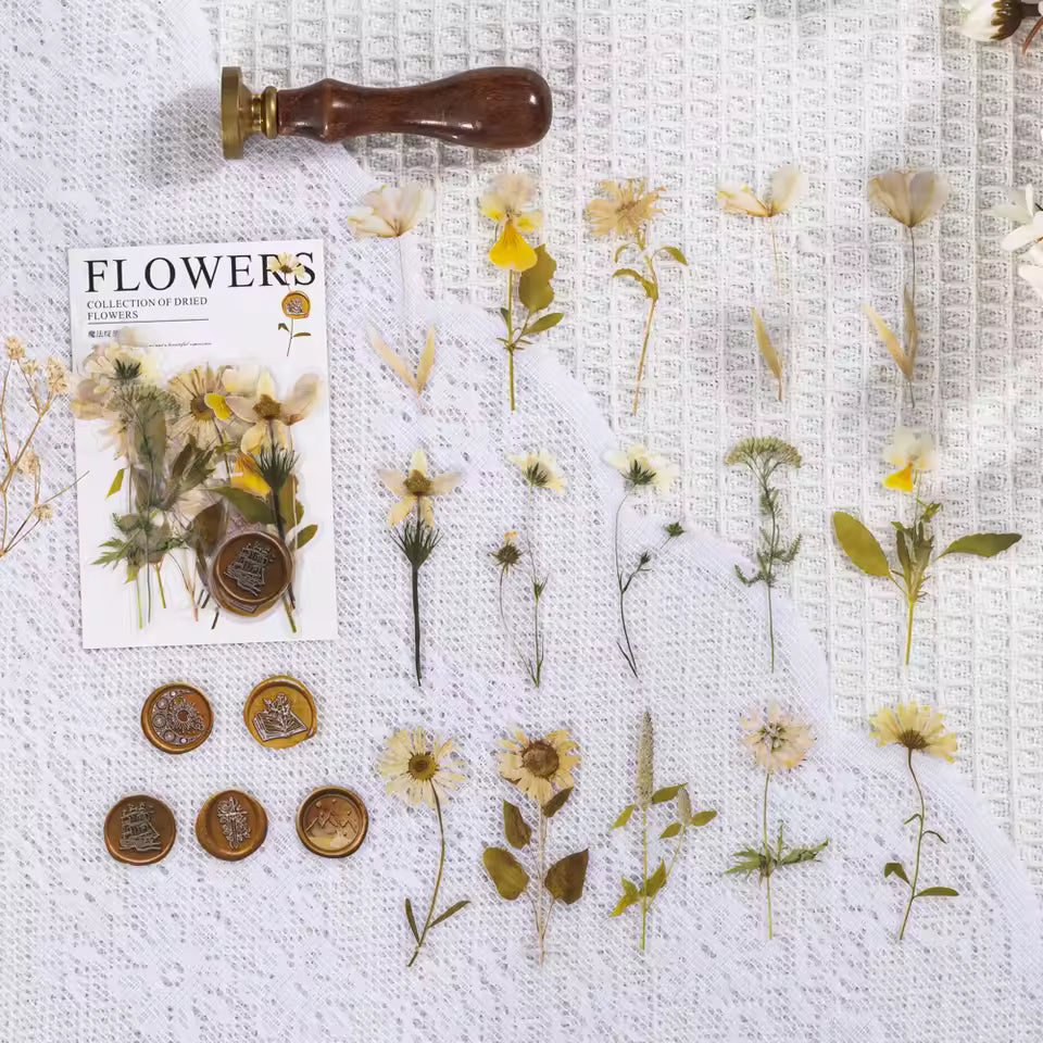 Pressed Florals 40-Piece Specimen Sticker Pack