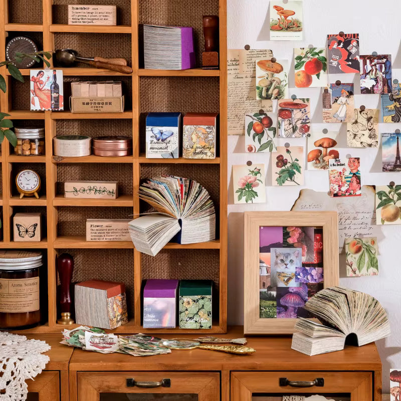Wild Archive 400-Piece Paper & Sticker Collection