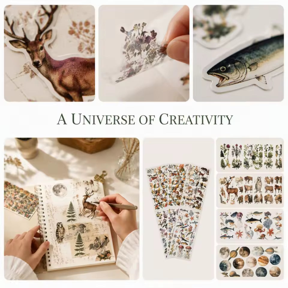 Full set of six nature sticker sheets
