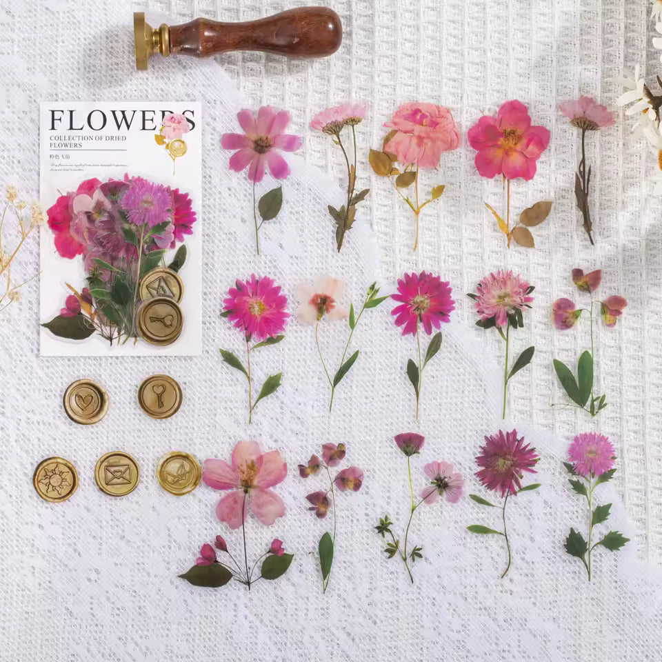 Pressed Florals 40-Piece Specimen Sticker Pack