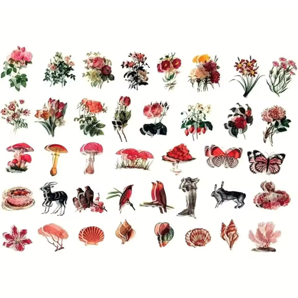 Full set of rustic nature ephemera overview