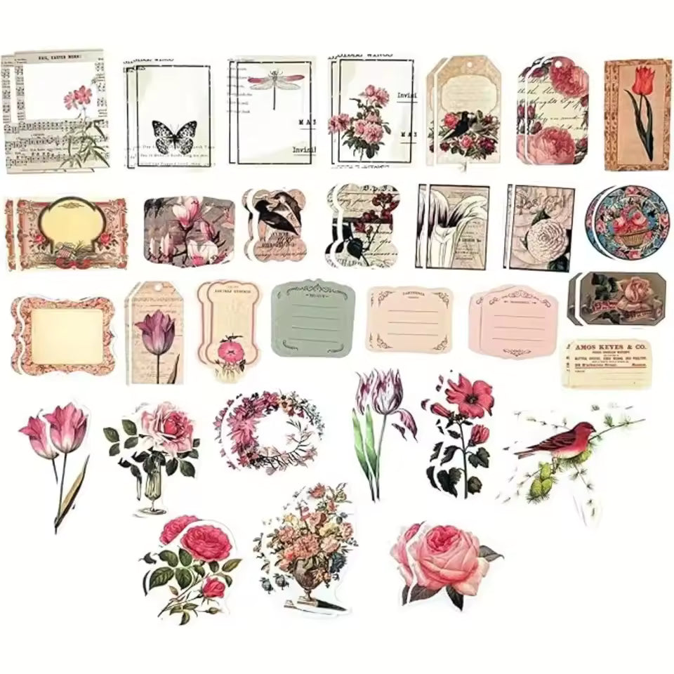 Detail shot of botanical and animal illustration paper