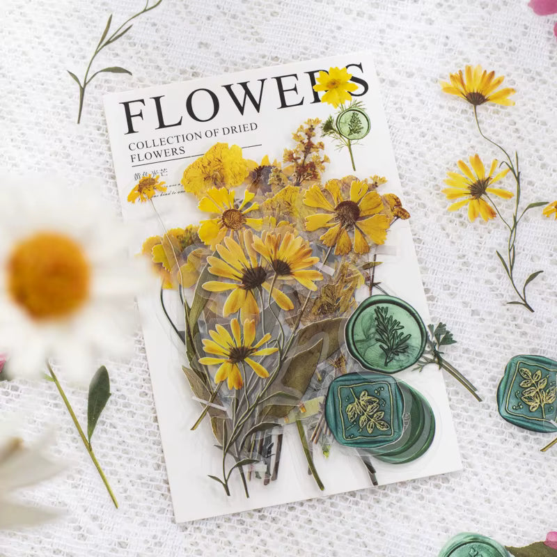 Pressed Florals 40-Piece Specimen Sticker Pack