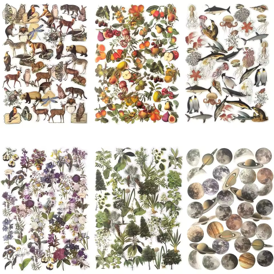 Nature sticker sheet with flowers, leaves, and small animals