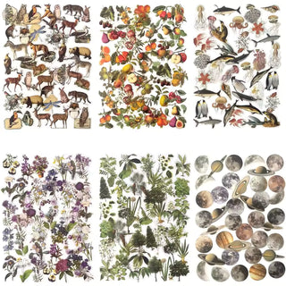 Nature sticker sheet with flowers, leaves, and small animals