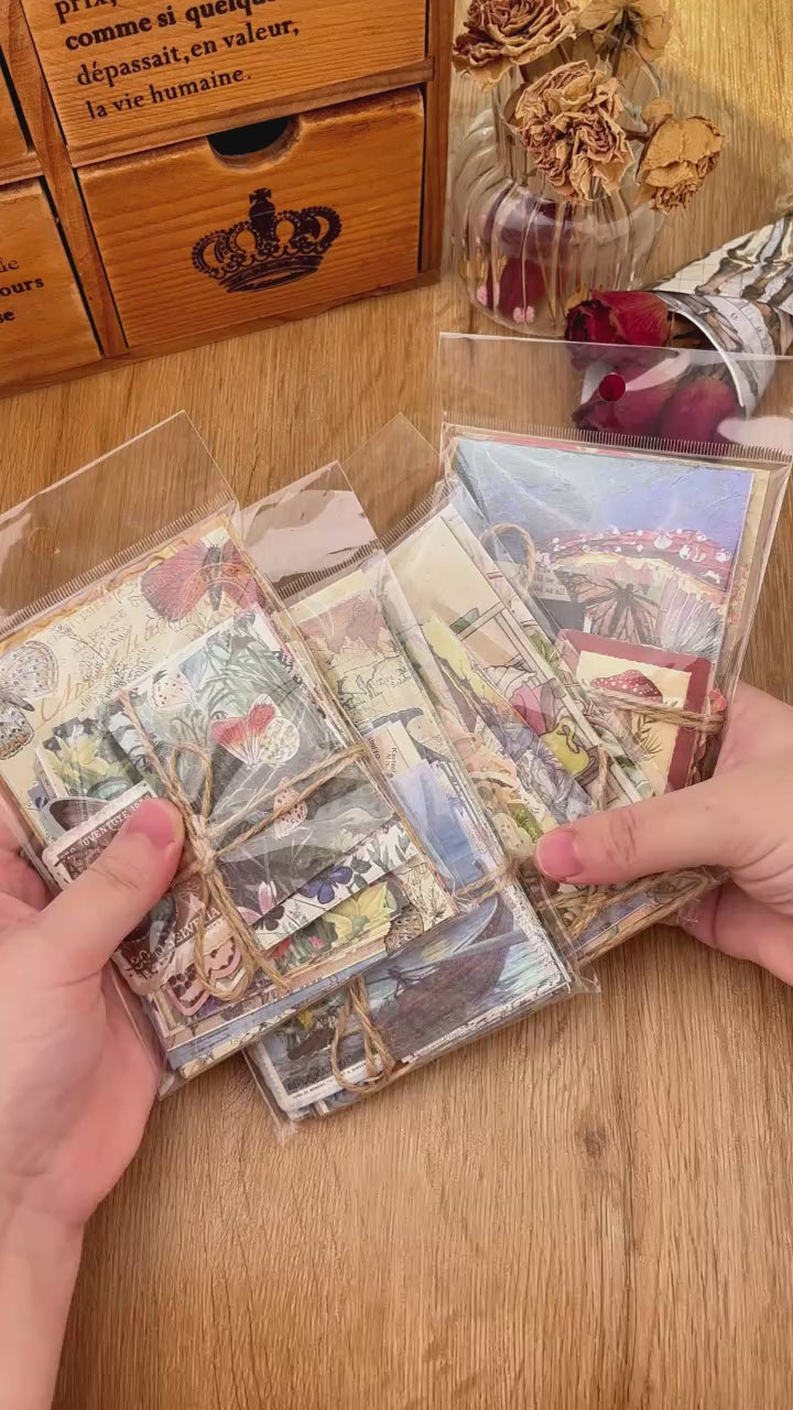 Forest Folklore 100-Piece Paper Pack product video